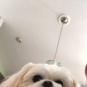 Meet your Posher, Hailey